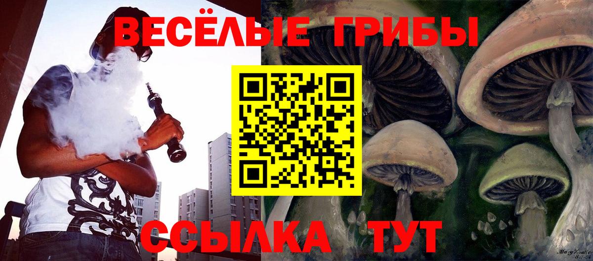 Галлюциногенные грибы ЛСД  Псилоцибиновые грибы мицелий  Шелехов  Вход с VPN 