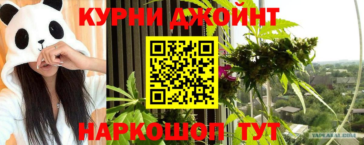 Бошки марихуана OG Kush Шелехов